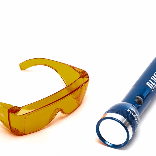 Standard Bluemaxx Source Bleue (455nm) avec filtre