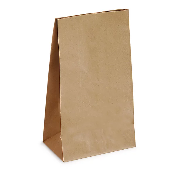 Sacs kraft à fond renforcé 20x30cm+10cm (x250) – Image 3