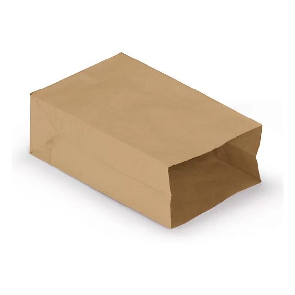 Sacs kraft à fond renforcé 20x30cm+10cm (x250) – Image 4