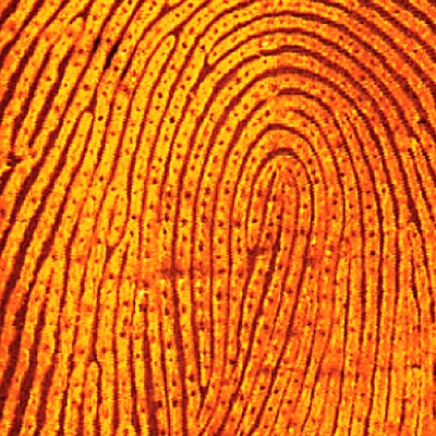 Indanedione en Cristaux / 1 gramme ou 10 grammes – Image 2