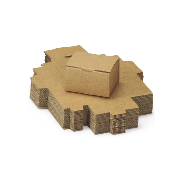 Boîtes de conservation de preuves cartonnées / livrées à plat (à monter) X100