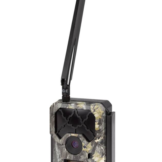 Piège photographique cellulaire - Caméra de chasse - 4G